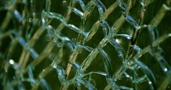 laminated glass